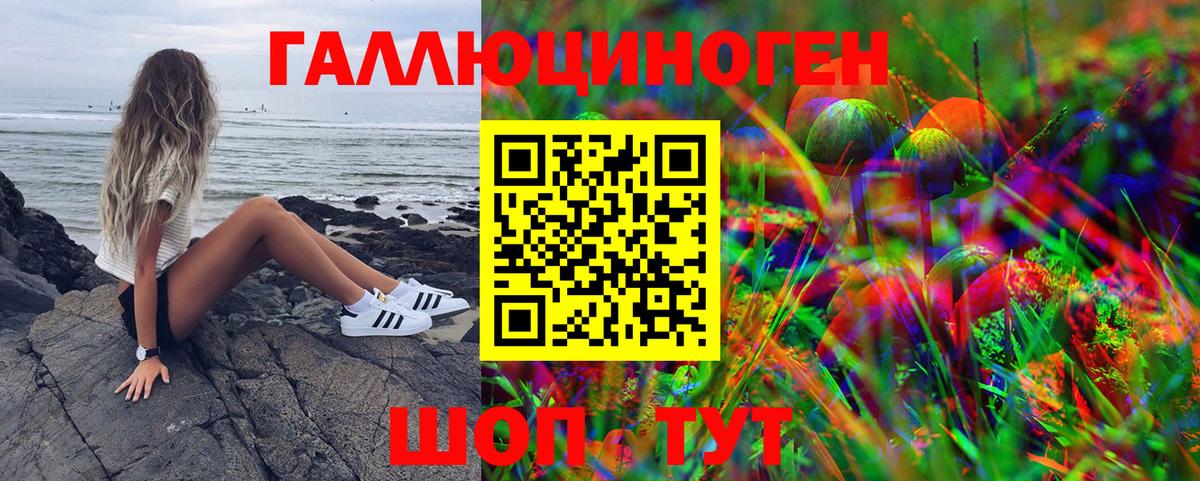 Советск  Галлюциногенные грибы мицелий  Псилоцибиновые грибы Cubensis  Вход с VPN 